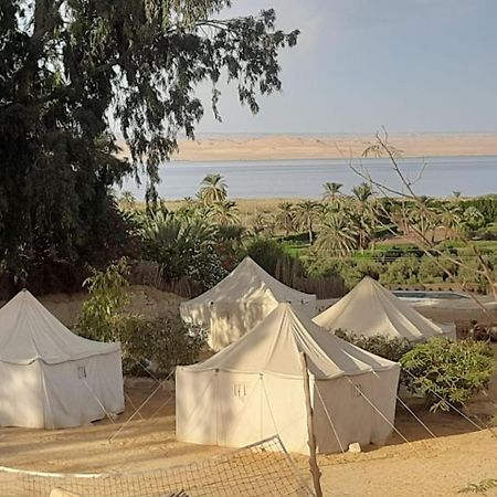 Tunis Camp الفيوم المظهر الخارجي الصورة