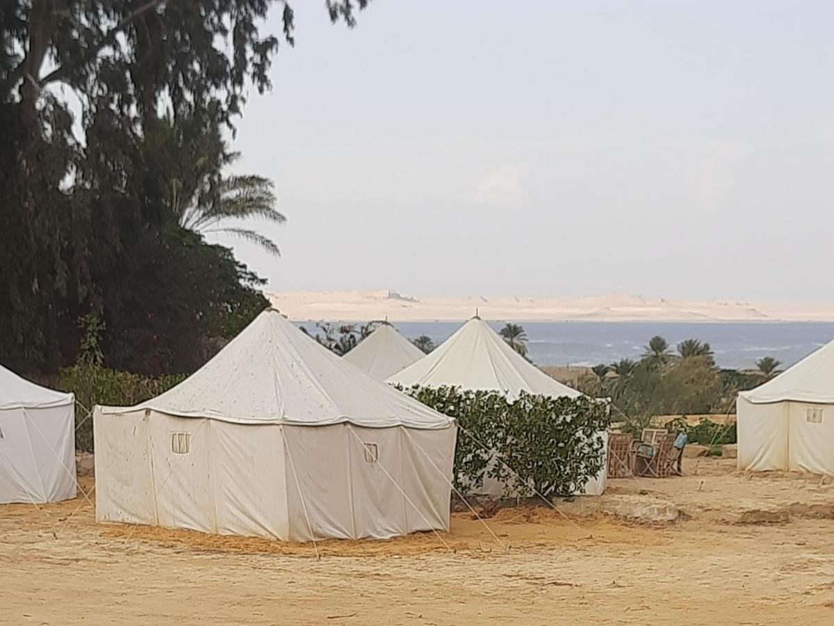Tunis Camp الفيوم الغرفة الصورة