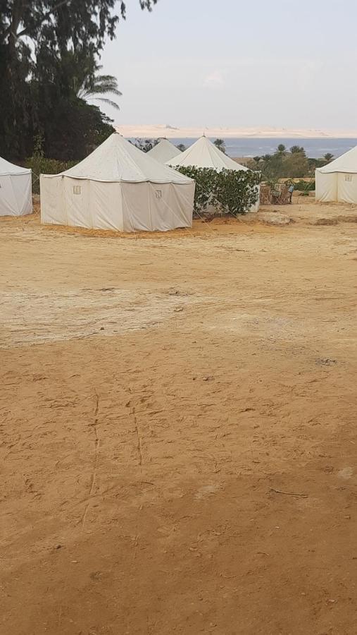 Tunis Camp الفيوم المظهر الخارجي الصورة